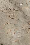 Permian Reef Trail 036