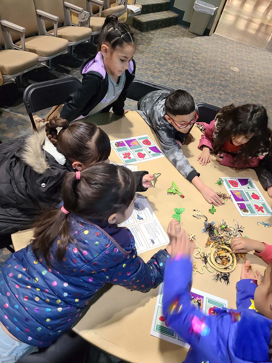 Children sorting plastic bugs