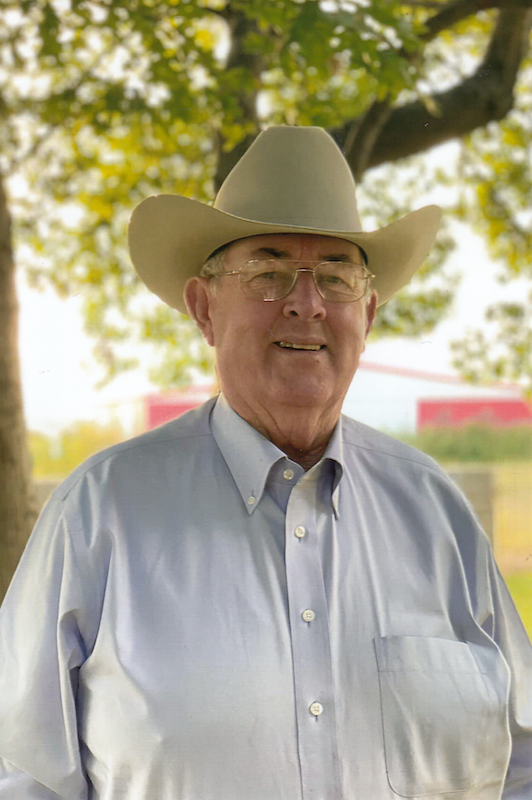 davis